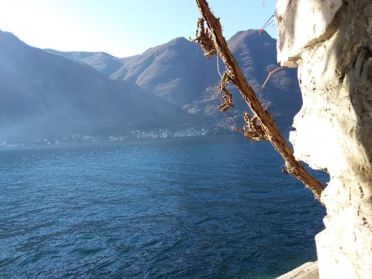 נסו Romantic Home - Lake Como מראה חיצוני תמונה