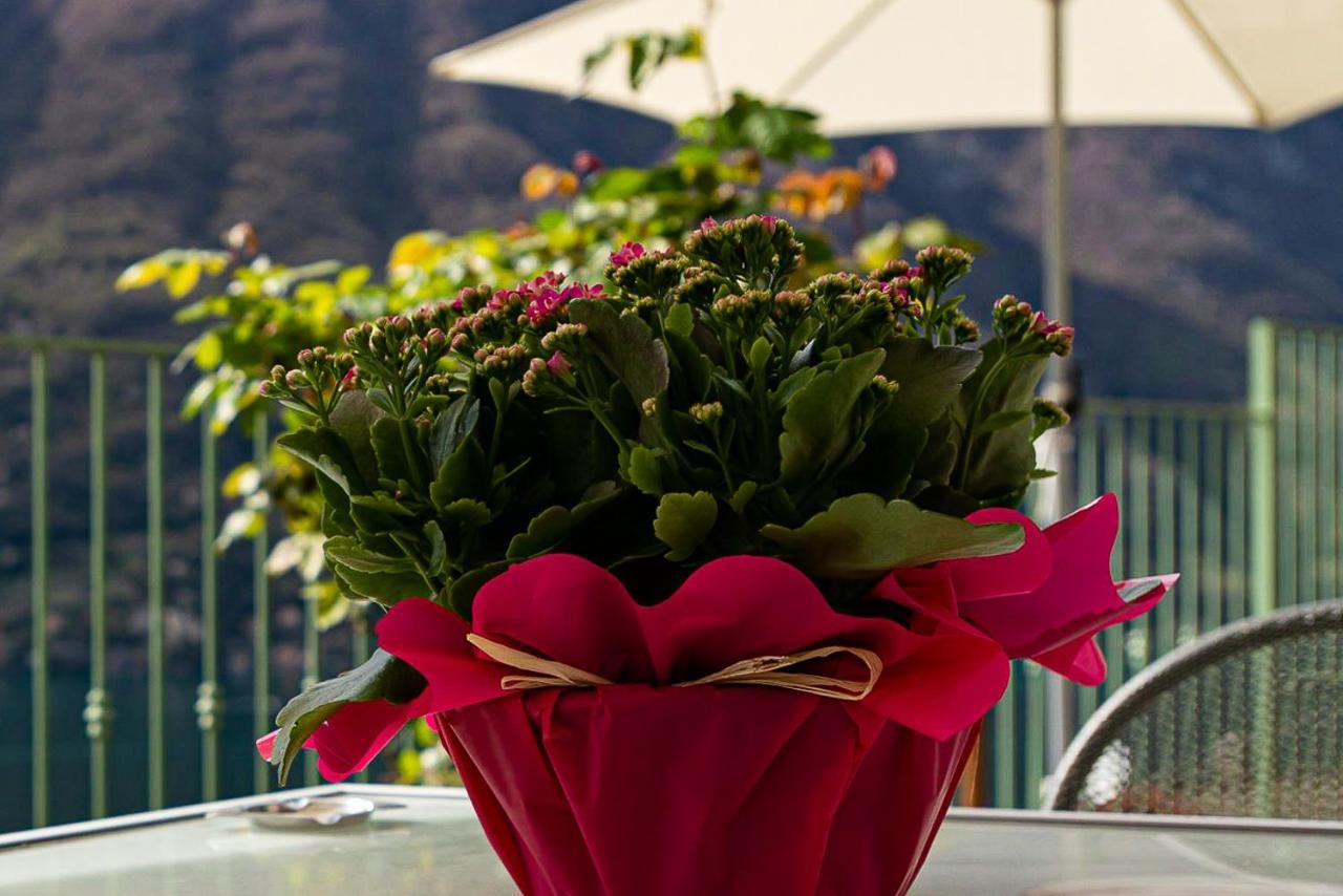 נסו Romantic Home - Lake Como מראה חיצוני תמונה