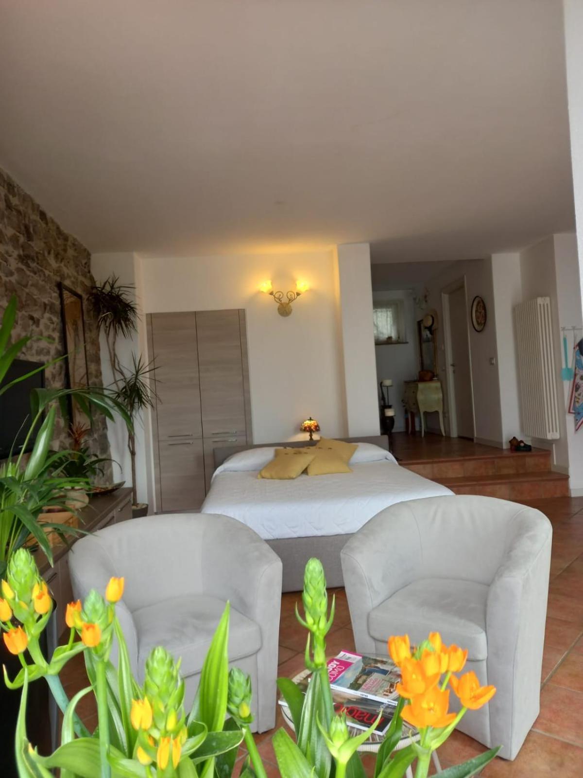 נסו Romantic Home - Lake Como מראה חיצוני תמונה